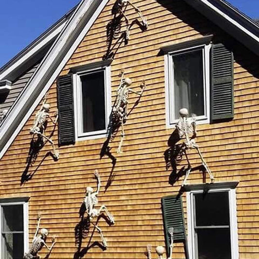 Halloween Movable Skeleton