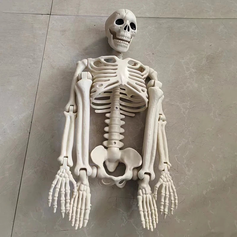 Halloween Movable Skeleton